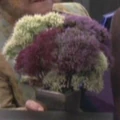 Tarcanian wildflowers.jpg