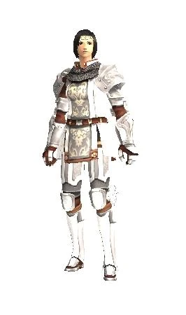Ffxi Paladin