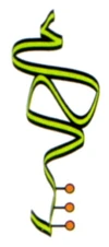 Neuro-Saav.jpg