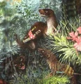 Thumbnail for version as of 23:43, February 22, 2006