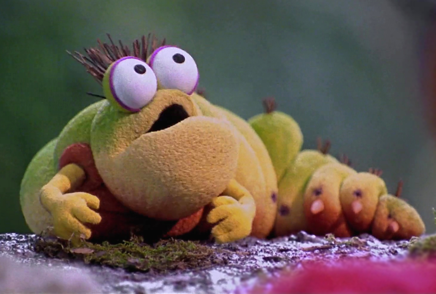 Caterpillar