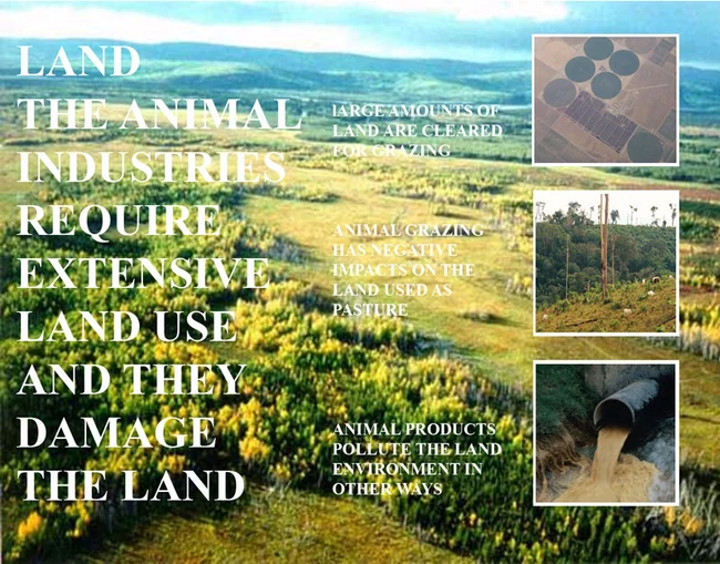 Vegan-Land