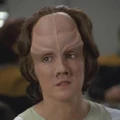 Ptera.jpg