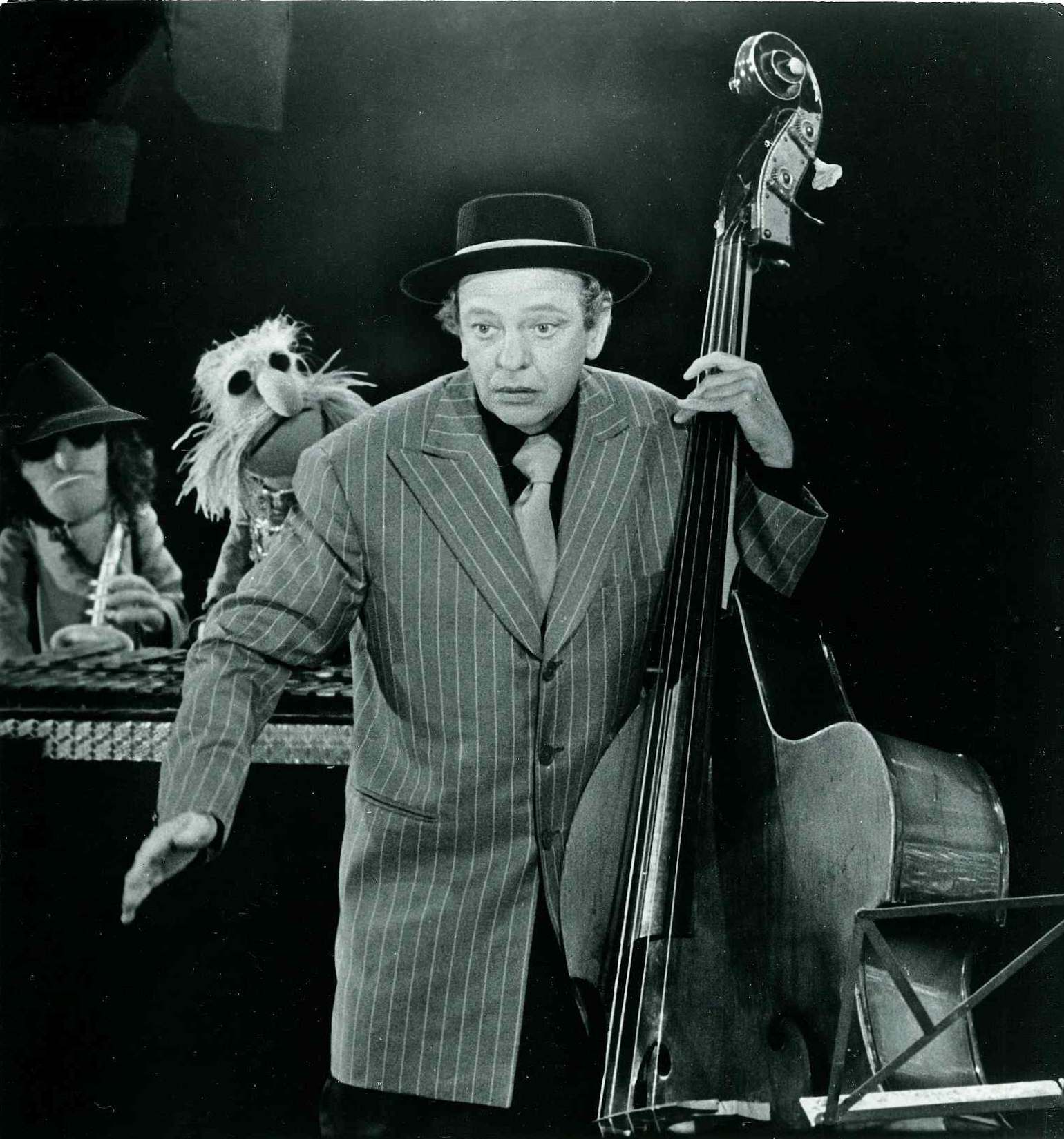 Donknotts