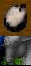 SheepW2.jpg (2 KB)