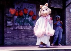 Piggyswineandroses