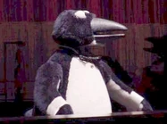 Nicky Napoleon and His Emperor Penguins
