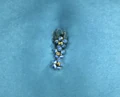 Aayla bellybutton.jpg
