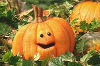 Pumpkin