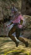 The Woodsman