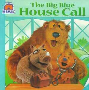 Book.The Big Blue House Call