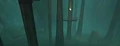 Jungle.jpg