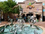 Wdwfountain