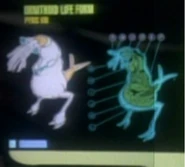 Ornithoid life form
