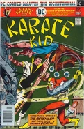 Karate Kid 3