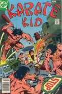 Karate Kid 11