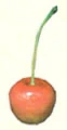 Cupidgrenade
