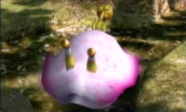 77rangingbloyster.png