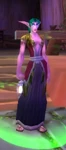 Innkeeper Saelienne