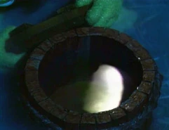 Moon.captured