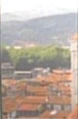 Florence.jpg