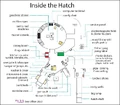 Hatch1