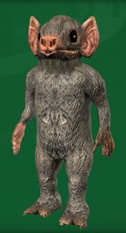 Chadra-fan male