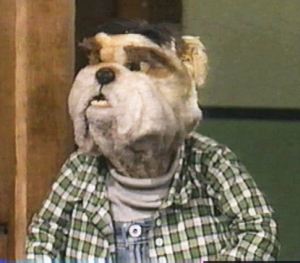 Bruno
