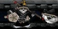 Mojo Stormstout Warcraft Guide