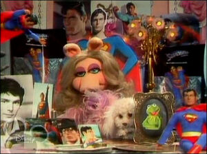 Piggysuperman