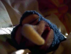 Eyelids.gonzo