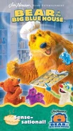 Video.bearsense