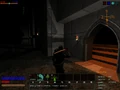 DD-shot2.jpg