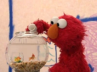 ElmosWorld.Pets.jpg