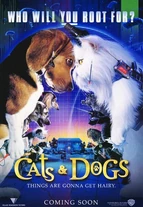 Catsanddogs