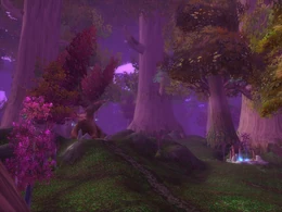 The Oracle Glade