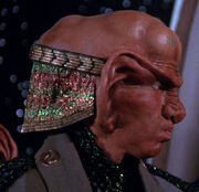 Ferengi headgear 2366