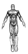 VD1