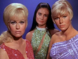 Harry Mudd and his Women