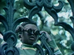 Glassesnoises