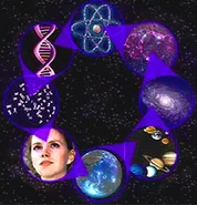 Fractaluniversecycle