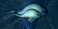 Kyutai Whales.PNG