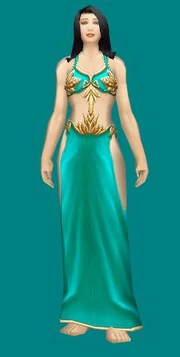 Robes of the Guardian Saint