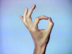 Whathandscando