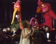 Cameo.jimhenson-hollywood