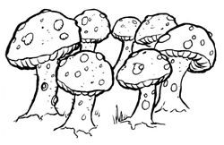 Snoruuk