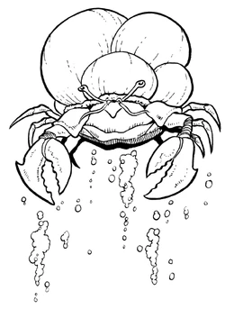 Sink-crab.jpg