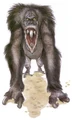 Veermok2.jpg