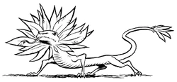 Feathered lizard.jpg