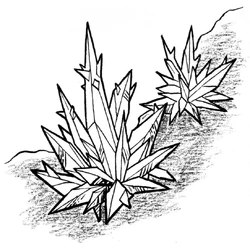 Anothian living crystal.jpg